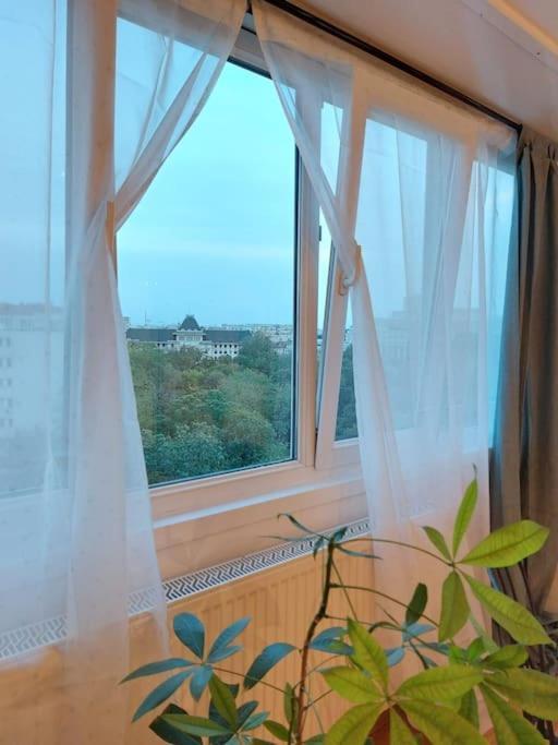 Sweet Dreams Suites Cismigiu Studio 부쿠레슈티 외부 사진